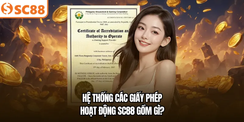 Hệ thống các giấy phép hoạt động SC88 gồm gì?