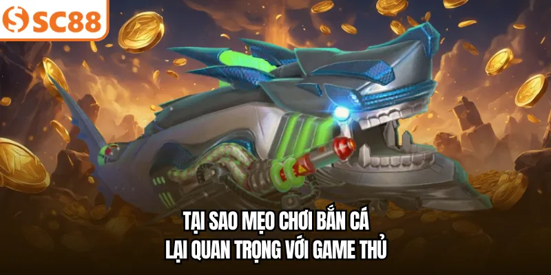 Tại sao mẹo chơi bắn cá lại quan trọng với game thủ
