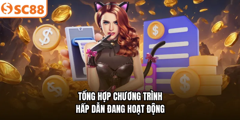 Tổng hợp chương trình hấp dẫn đang hoạt động